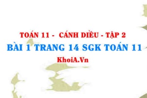 Bài 1 trang 14 Toán 11 tập 2 Cánh Diều